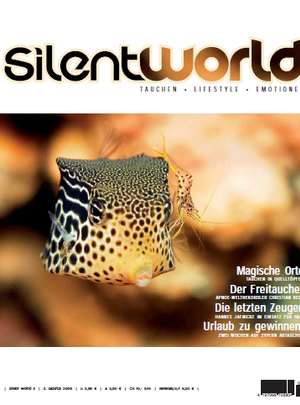 Cover image for the Silent World PDF